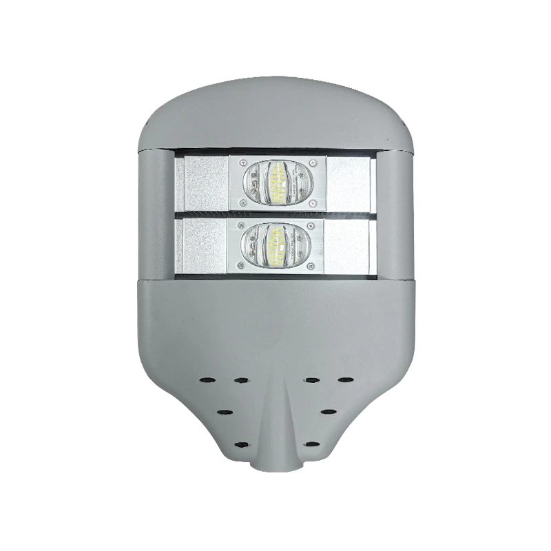 den-led-duong-pho-d03-module-cob-cong-suat-100w-dd03c100-2 đèn led đường phố 100w