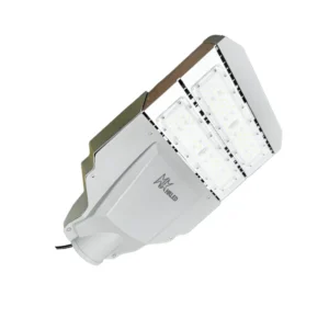 Đèn LED đường công cộng 100w D12