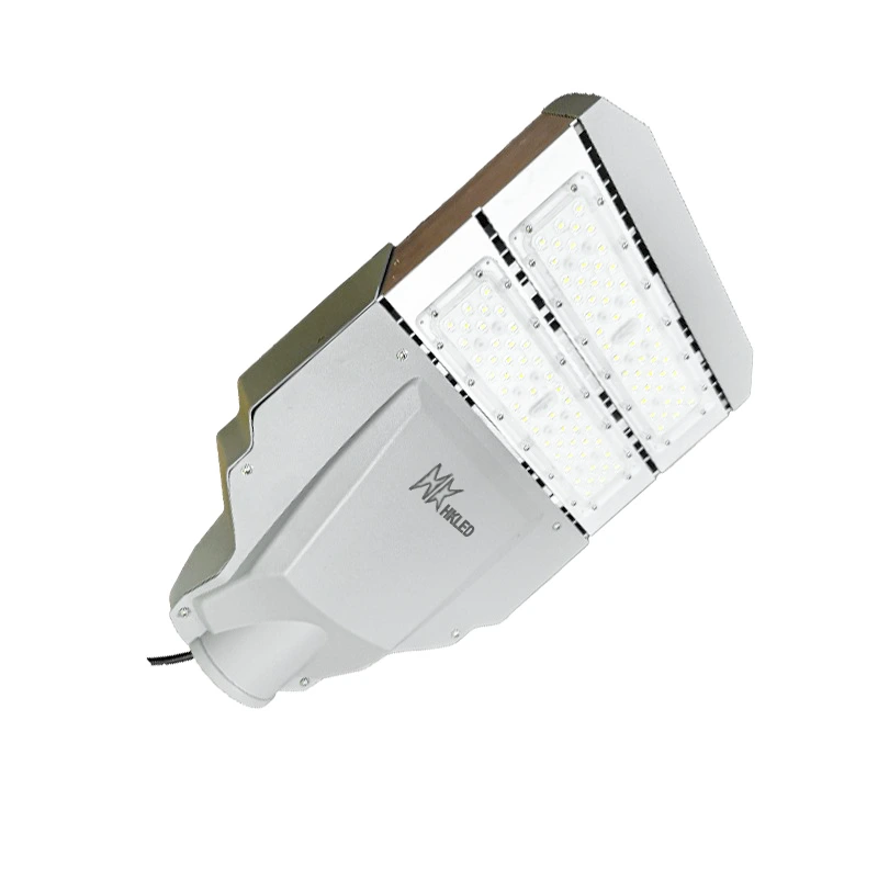 Đèn LED đường công cộng 100w D12