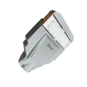 Đèn LED đường công cộng 50W D12