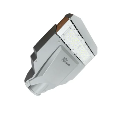 Đèn LED đường công cộng 50W D12